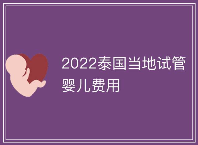 2022泰國當地試管嬰兒費用