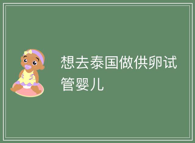 想去泰國做供卵試管嬰兒