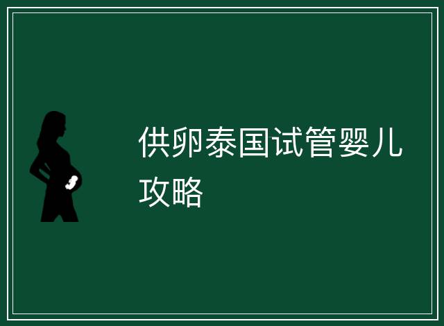 供卵泰國(guó)試管嬰兒攻略