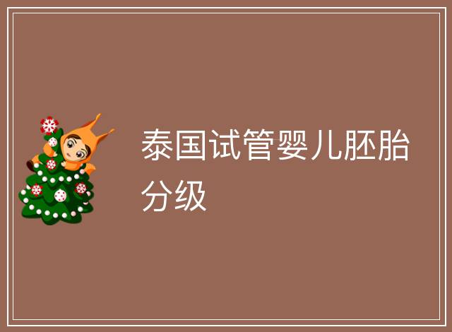 泰國試管嬰兒胚胎分級(jí)