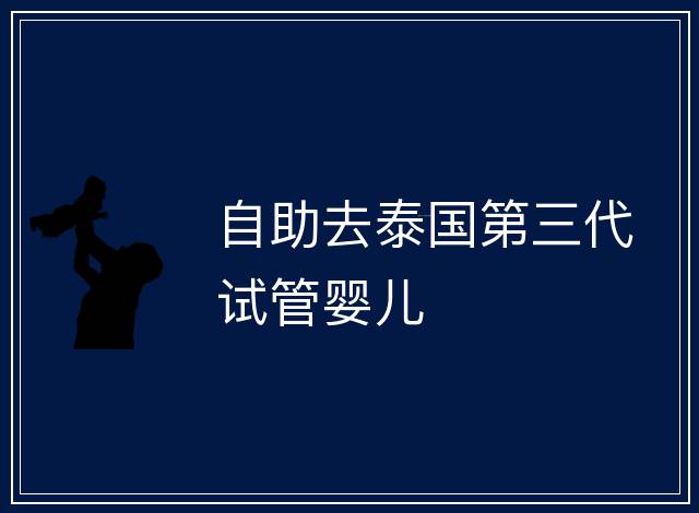 自助去泰國(guó)第三代試管嬰兒