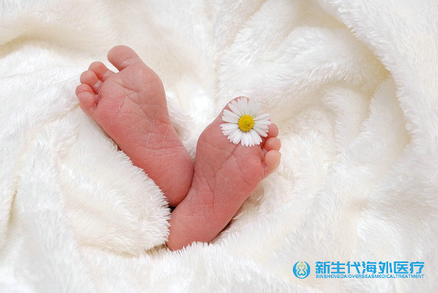 泰國試管促排第4天雌激素 泰國試管促排第4天雌激素