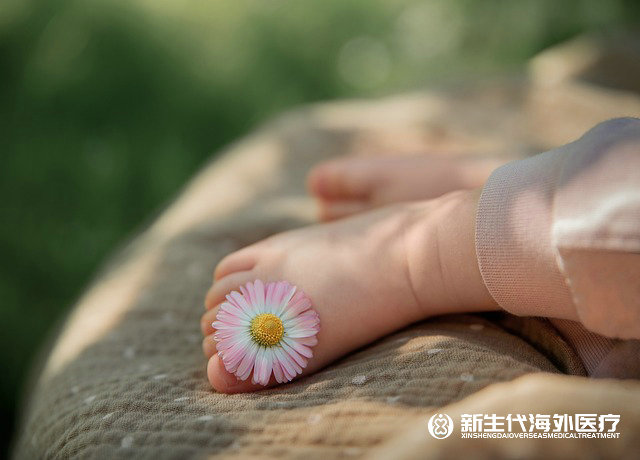 泰國和國內(nèi)試管 泰國和國內(nèi)試管