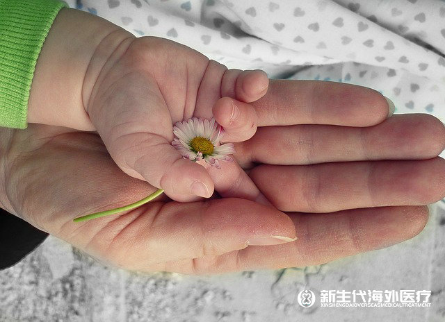 泰國染色體異常試管詳細流程