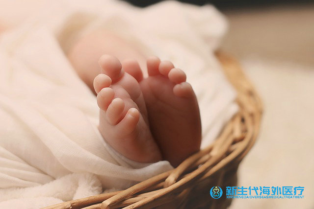 第三代泰國試管嬰兒成功率
