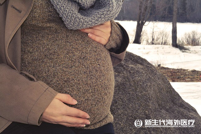 泰國未婚試管全部過程