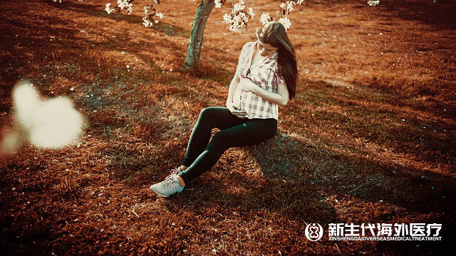 去泰國借卵做試管哪家好