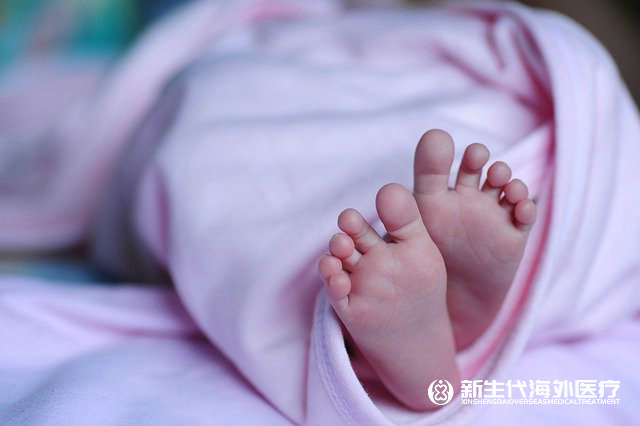泰國沒有結婚證做試管要多少費用