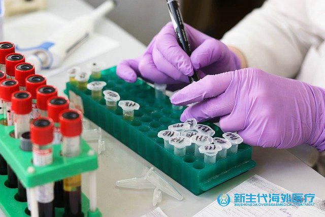 泰國試管費用是多少錢一次啊
