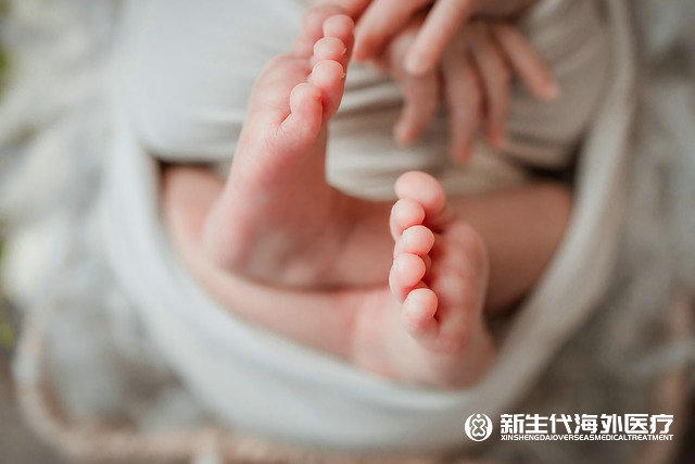 泰國做試管多少錢一次