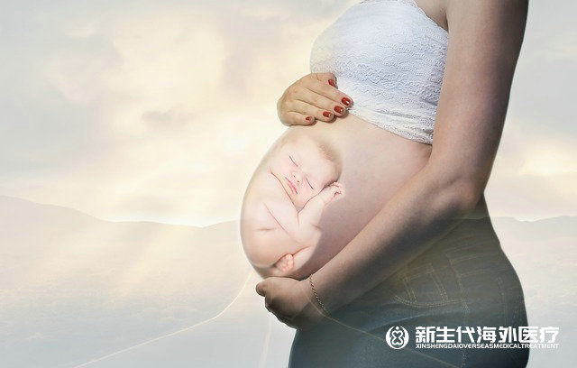 泰國試管選23對還是5對