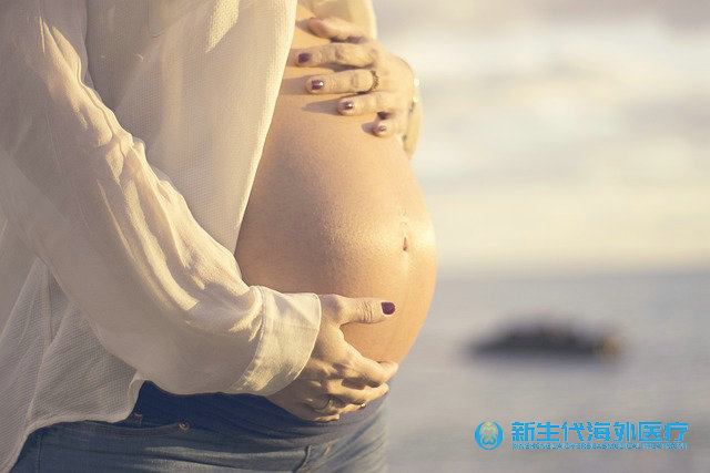 泰國試管中介的法律陷阱