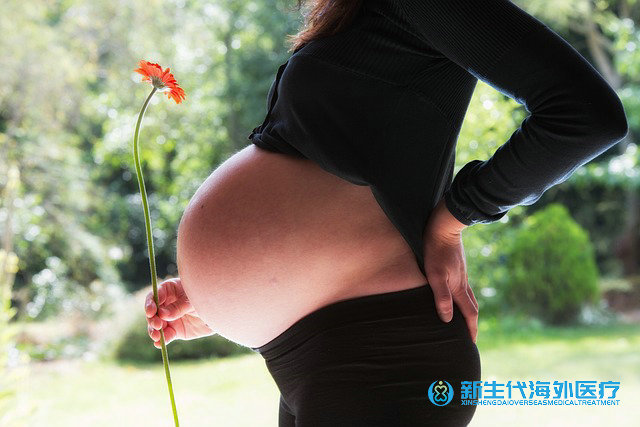泰國血友病試管收費標(biāo)準(zhǔn) 泰國血友病試管收費標(biāo)準(zhǔn)