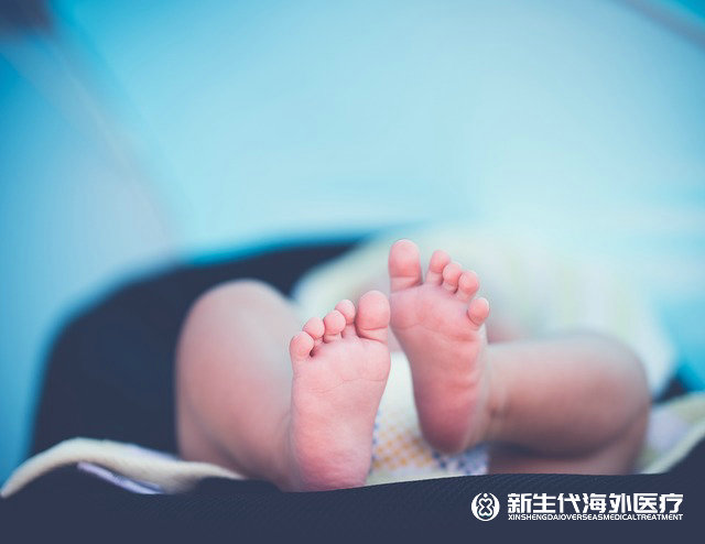 泰國試管選性別多少錢一次啊