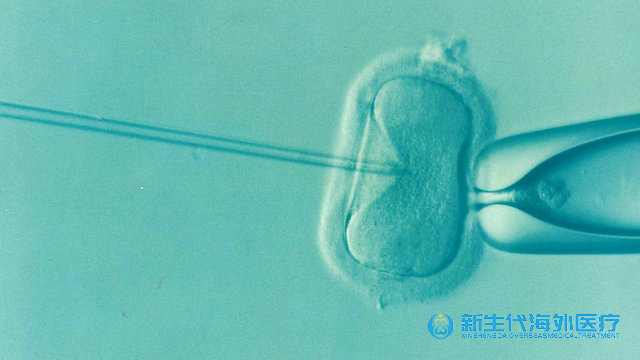 泰國去哪些權(quán)威中心能做雙胞胎試管嬰兒