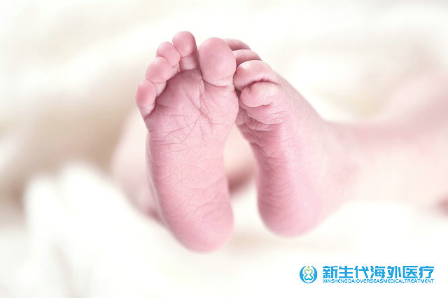 泰國哪類人需要做同性試管嬰兒